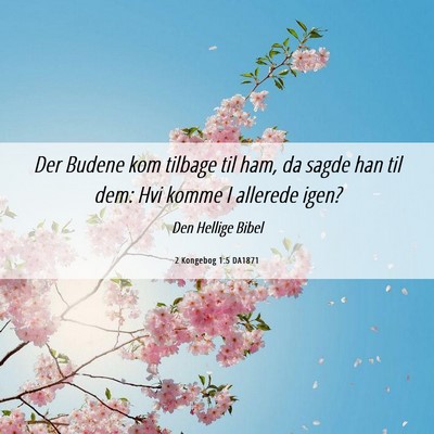 Picture 06 - 2 Kongebog 1:5 DA1871 - Der Budene kom tilbage til ham, da sagde han til - Bible Verse Picture