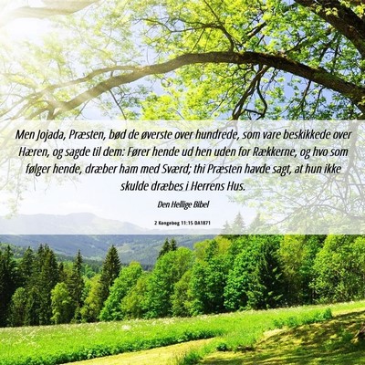 Picture 06 - 2 Kongebog 11:15 DA1871 - Men Jojada, Præsten, bød de øverste over - Bible Verse Picture