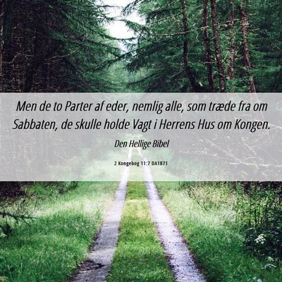 Picture 06 - 2 Kongebog 11:7 DA1871 - Men de to Parter af eder, nemlig alle, som træde - Bible Verse Picture