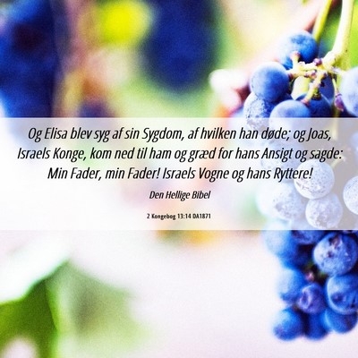 Picture 06 - 2 Kongebog 13:14 DA1871 - Og Elisa blev syg af sin Sygdom, af hvilken han - Bible Verse Picture