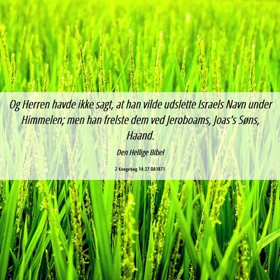 Picture 06 - 2 Kongebog 14:27 DA1871 - Og Herren havde ikke sagt, at han vilde udslette - Bible Verse Picture