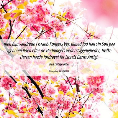 Picture 06 - 2 Kongebog 16:3 DA1871 - men han vandrede i Israels Kongers Vej; tilmed - Bible Verse Picture
