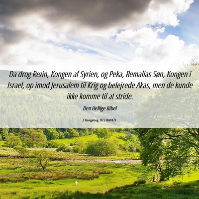 Picture 06 - 2 Kongebog 16:5 DA1871 - Da drog Rezin, Kongen af Syrien, og Peka, - Bible Verse Picture