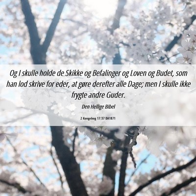 Picture 06 - 2 Kongebog 17:37 DA1871 - Og I skulle holde de Skikke og Befalinger og - Bible Verse Picture