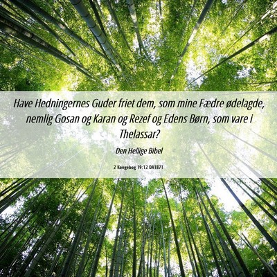 Picture 06 - 2 Kongebog 19:12 DA1871 - Have Hedningernes Guder friet dem, som mine - Bible Verse Picture