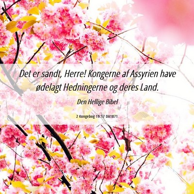 Picture 06 - 2 Kongebog 19:17 DA1871 - Det er sandt, Herre! Kongerne af Assyrien have - Bible Verse Picture