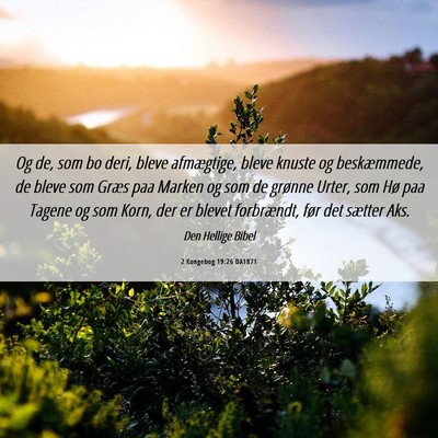 Picture 06 - 2 Kongebog 19:26 DA1871 - Og de, som bo deri, bleve afmægtige, bleve - Bible Verse Picture