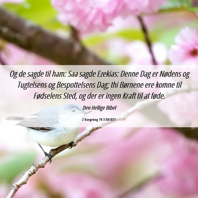 Picture 06 - 2 Kongebog 19:3 DA1871 - Og de sagde til ham: Saa sagde Ezekias: Denne Dag - Bible Verse Picture