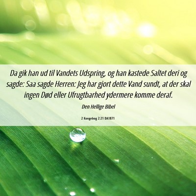 Picture 06 - 2 Kongebog 2:21 DA1871 - Da gik han ud til Vandets Udspring, og han - Bible Verse Picture