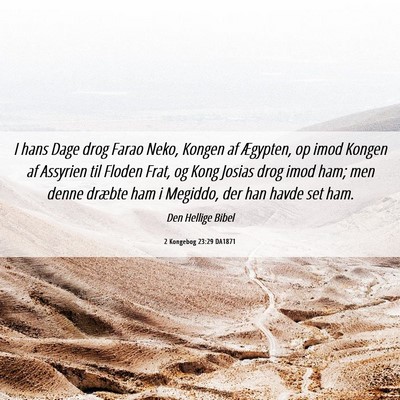 Picture 06 - 2 Kongebog 23:29 DA1871 - I hans Dage drog Farao Neko, Kongen af Ægypten, - Bible Verse Picture