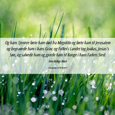 Picture 06 - 2 Kongebog 23:30 DA1871 - Og hans Tjenere førte ham død fra Megiddo og - Bible Verse Picture