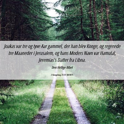 Picture 06 - 2 Kongebog 23:31 DA1871 - Joakas var tre og tyve Aar gammel, der han blev - Bible Verse Picture