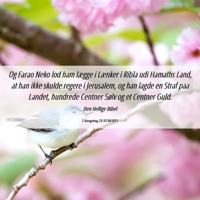 Picture 06 - 2 Kongebog 23:33 DA1871 - Og Farao Neko lod ham lægge i Lænker i Ribla - Bible Verse Picture