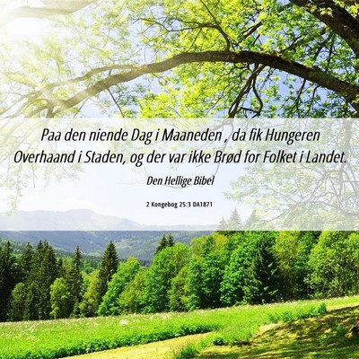 Picture 06 - 2 Kongebog 25:3 DA1871 - Paa den niende Dag i Maaneden , da fik Hungeren - Bible Verse Picture