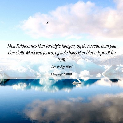 Picture 06 - 2 Kongebog 25:5 DA1871 - Men Kaldæernes Hær forfulgte Kongen, og de - Bible Verse Picture