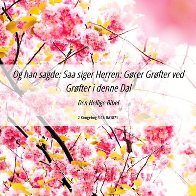 Picture 06 - 2 Kongebog 3:16 DA1871 - Og han sagde: Saa siger Herren: Gører Grøfter - Bible Verse Picture