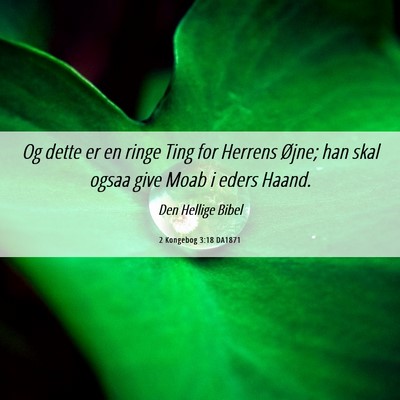 Picture 06 - 2 Kongebog 3:18 DA1871 - Og dette er en ringe Ting for Herrens Øjne; han - Bible Verse Picture