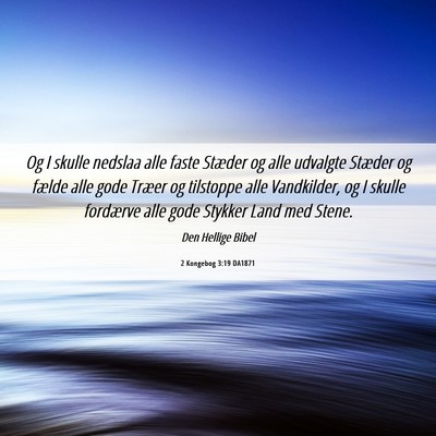 Picture 06 - 2 Kongebog 3:19 DA1871 - Og I skulle nedslaa alle faste Stæder og alle - Bible Verse Picture