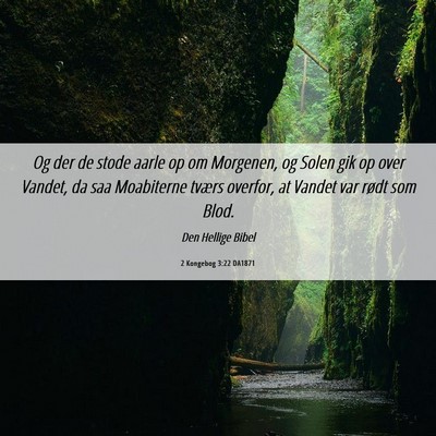 Picture 06 - 2 Kongebog 3:22 DA1871 - Og der de stode aarle op om Morgenen, og Solen - Bible Verse Picture