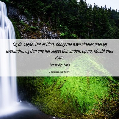 Picture 06 - 2 Kongebog 3:23 DA1871 - Og de sagde: Det er Blod, Kongerne have aldeles - Bible Verse Picture