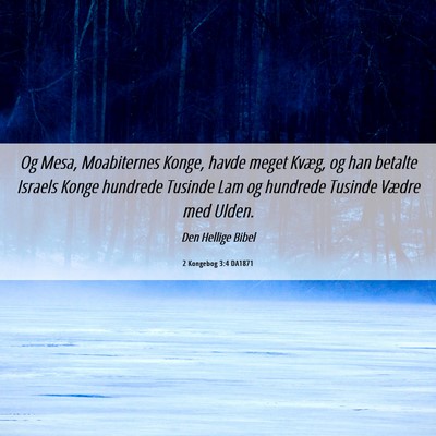 Picture 06 - 2 Kongebog 3:4 DA1871 - Og Mesa, Moabiternes Konge, havde meget Kvæg, og - Bible Verse Picture