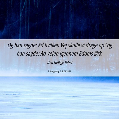 Picture 06 - 2 Kongebog 3:8 DA1871 - Og han sagde: Ad hvilken Vej skulle vi drage op? - Bible Verse Picture