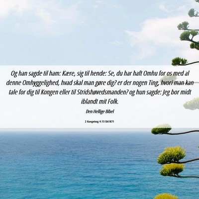 Picture 06 - 2 Kongebog 4:13 DA1871 - Og han sagde til ham: Kære, sig til hende: Se, - Bible Verse Picture