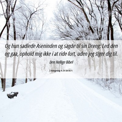 Picture 06 - 2 Kongebog 4:24 DA1871 - Og hun sadlede Aseninden og sagde til sin Dreng: - Bible Verse Picture