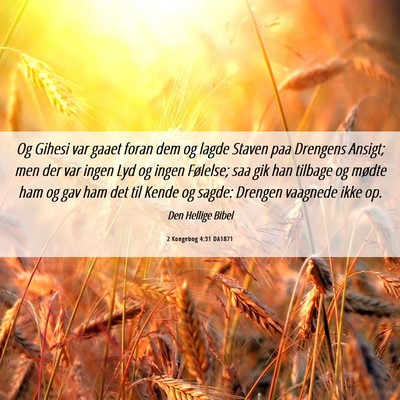 Picture 06 - 2 Kongebog 4:31 DA1871 - Og Gihesi var gaaet foran dem og lagde Staven paa - Bible Verse Picture