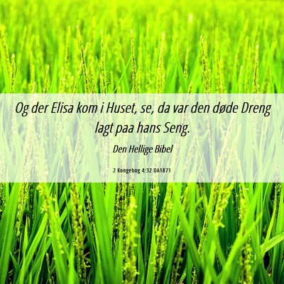 Picture 06 - 2 Kongebog 4:32 DA1871 - Og der Elisa kom i Huset, se, da var den døde - Bible Verse Picture