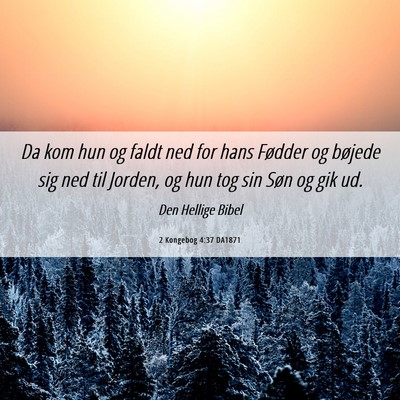 Picture 06 - 2 Kongebog 4:37 DA1871 - Da kom hun og faldt ned for hans Fødder og - Bible Verse Picture