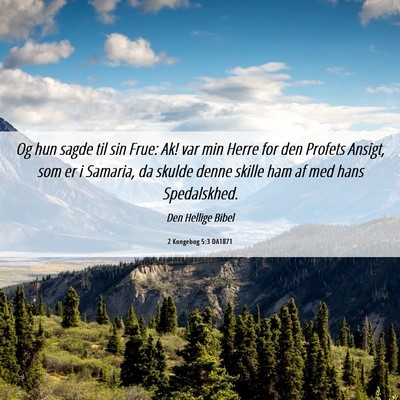Picture 06 - 2 Kongebog 5:3 DA1871 - Og hun sagde til sin Frue: Ak! var min Herre for - Bible Verse Picture