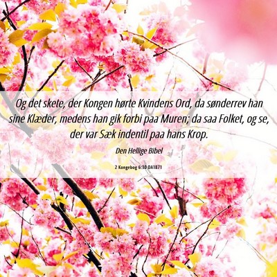 Picture 06 - 2 Kongebog 6:30 DA1871 - Og det skete, der Kongen hørte Kvindens Ord, da - Bible Verse Picture