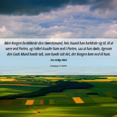 Picture 06 - 2 Kongebog 7:17 DA1871 - Men Kongen beskikkede den Høvedsmand, hvis Haand - Bible Verse Picture