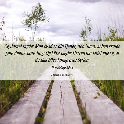 Picture 06 - 2 Kongebog 8:13 DA1871 - Og Hasael sagde: Men hvad er din Tjener, den - Bible Verse Picture