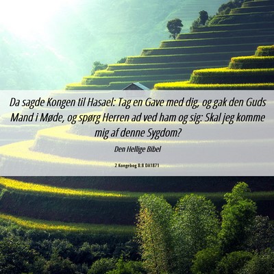 Picture 06 - 2 Kongebog 8:8 DA1871 - Da sagde Kongen til Hasael: Tag en Gave med dig, - Bible Verse Picture