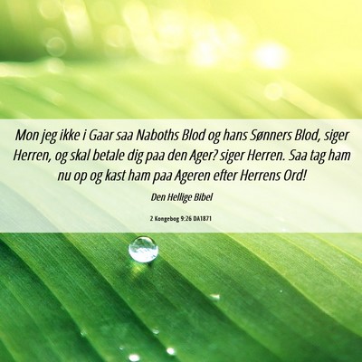 Picture 06 - 2 Kongebog 9:26 DA1871 - Mon jeg ikke i Gaar saa Naboths Blod og hans - Bible Verse Picture
