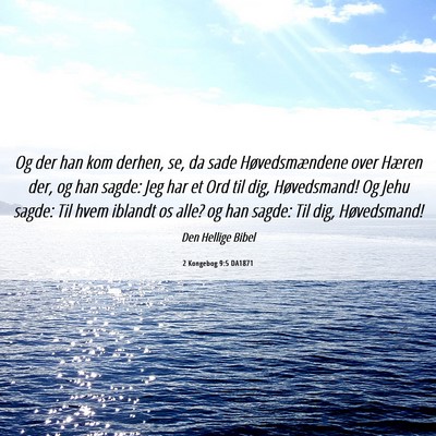 Picture 06 - 2 Kongebog 9:5 DA1871 - Og der han kom derhen, se, da sade - Bible Verse Picture