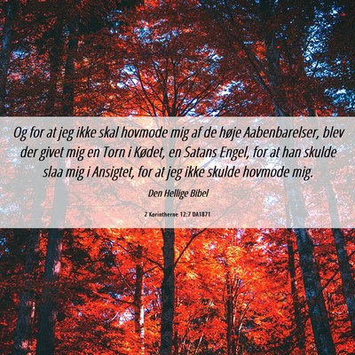 Picture 06 - 2 Korintherne 12:7 DA1871 - Og for at jeg ikke skal hovmode mig af de høje - Bible Verse Picture