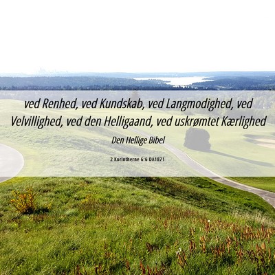 Picture 06 - 2 Korintherne 6:6 DA1871 - ved Renhed, ved Kundskab, ved Langmodighed, ved - Bible Verse Picture
