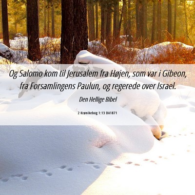 Picture 06 - 2 Krønikebog 1:13 DA1871 - Og Salomo kom til Jerusalem fra Højen, som var i - Bible Verse Picture