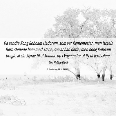 Picture 06 - 2 Krønikebog 10:18 DA1871 - Da sendte Kong Roboam Hadoram, som var - Bible Verse Picture