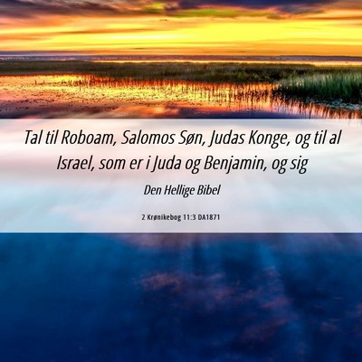 Picture 06 - 2 Krønikebog 11:3 DA1871 - Tal til Roboam, Salomos Søn, Judas Konge, og til - Bible Verse Picture