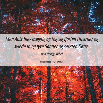 Picture 06 - 2 Krønikebog 13:21 DA1871 - Men Abia blev mægtig og tog sig fjorten Hustruer - Bible Verse Picture