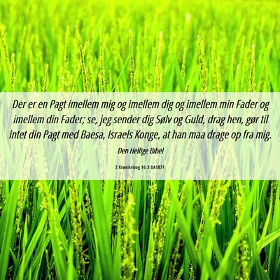 Picture 06 - 2 Krønikebog 16:3 DA1871 - Der er en Pagt imellem mig og imellem dig og - Bible Verse Picture