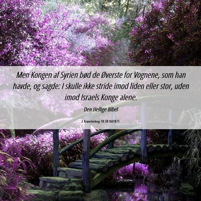 Picture 06 - 2 Krønikebog 18:30 DA1871 - Men Kongen af Syrien bød de Øverste for - Bible Verse Picture