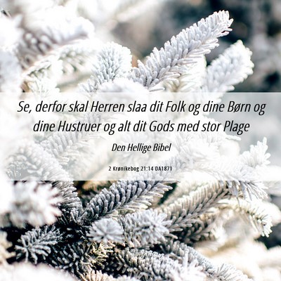 Picture 06 - 2 Krønikebog 21:14 DA1871 - Se, derfor skal Herren slaa dit Folk og dine - Bible Verse Picture