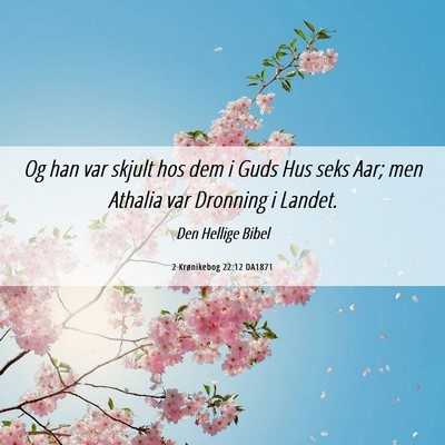 Picture 06 - 2 Krønikebog 22:12 DA1871 - Og han var skjult hos dem i Guds Hus seks Aar; - Bible Verse Picture