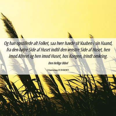 Picture 06 - 2 Krønikebog 23:10 DA1871 - Og han opstillede alt Folket, saa hver havde sit - Bible Verse Picture