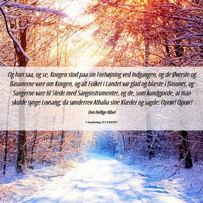 Picture 06 - 2 Krønikebog 23:13 DA1871 - Og hun saa, og se, Kongen stod paa sin - Bible Verse Picture
